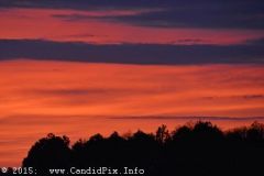 Saturday 2015 Palatka Festival February