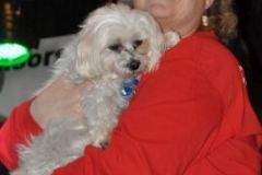 bluegrass Christmas in the Smokies 2016