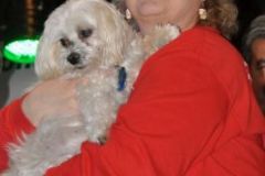 bluegrass Christmas in the Smokies 2016