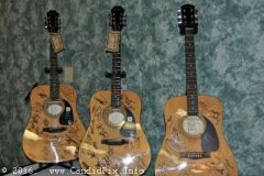 bluegrass Christmas in the Smokies 2016