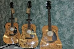 bluegrass Christmas in the Smokies 2016