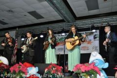 bluegrass Christmas in the Smokies 2016