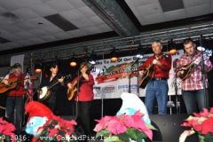 bluegrass Christmas in the Smokies 2016