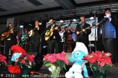 bluegrass Christmas in the Smokies 2016
