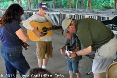 Charlotte Bluegrass Festival 2016