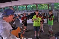 Charlotte Bluegrass Festival 2016