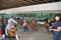 Charlotte Bluegrass Festival 2016