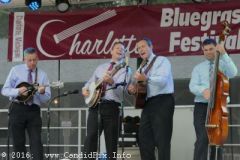 Charlotte Bluegrass Festival 2016