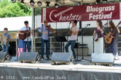 Charlotte Bluegrass Festival 2016
