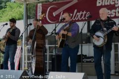 Charlotte Bluegrass Festival 2016
