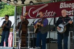 Charlotte Bluegrass Festival 2016
