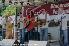 Charlotte Bluegrass Festival 2016