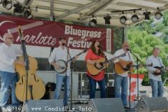 Charlotte Bluegrass Festival 2016