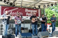 Charlotte Bluegrass Festival 2016