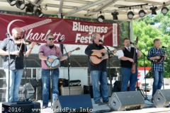 Charlotte Bluegrass Festival 2016