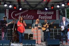 Charlotte Bluegrass Festival 2016