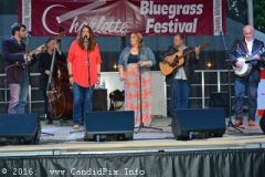 Charlotte Bluegrass Festival 2016