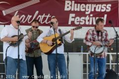 Charlotte Bluegrass Festival 2016