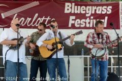 Charlotte Bluegrass Festival 2016