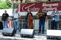 Charlotte Bluegrass Festival 2016
