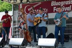 Charlotte Bluegrass Festival 2016