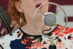 Charlotte Bluegrass Festival 2016