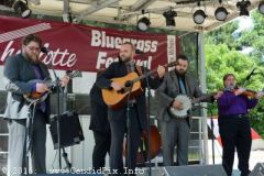 Charlotte Bluegrass Festival 2016