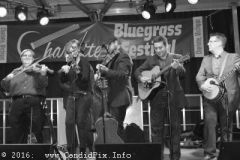 Charlotte Bluegrass Festival 2016