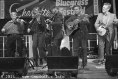 Charlotte Bluegrass Festival 2016