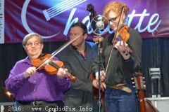 Charlotte Bluegrass Festival 2016