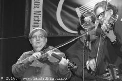 Charlotte Bluegrass Festival 2016