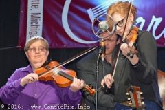 Charlotte Bluegrass Festival 2016