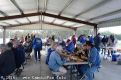 Classic-16-031