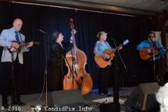 Classic-16-095