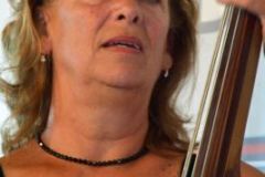 Marshall Bluegrass Festival 2016