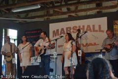 Marshall Bluegrass Festival 2016
