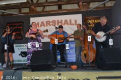 Marshall Bluegrass Festival 2016