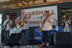 Marshall Bluegrass Festival 2016