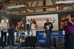 Marshall Bluegrass Festival 2016