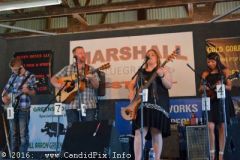 Marshall Bluegrass Festival 2016