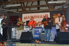 Marshall Bluegrass Festival 2016