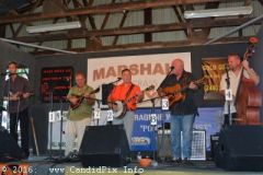 Marshall Bluegrass Festival 2016