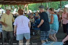 Marshall Bluegrass Festival 2016