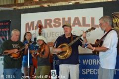 Marshall Bluegrass Festival 2016