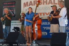 Marshall Bluegrass Festival 2016