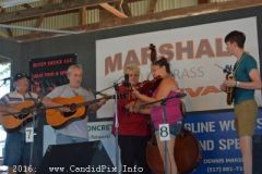 Marshall Bluegrass Festival 2016