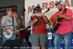 Marshall Bluegrass Festival 2016