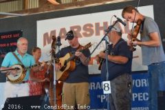 Marshall Bluegrass Festival 2016