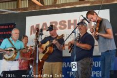 Marshall Bluegrass Festival 2016