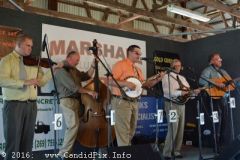 Marshall Bluegrass Festival 2016